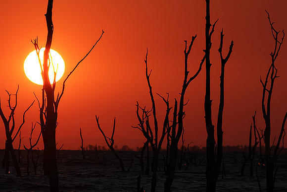Sunrise - lake Kariba