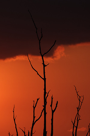 Sunrise - lake Kariba
