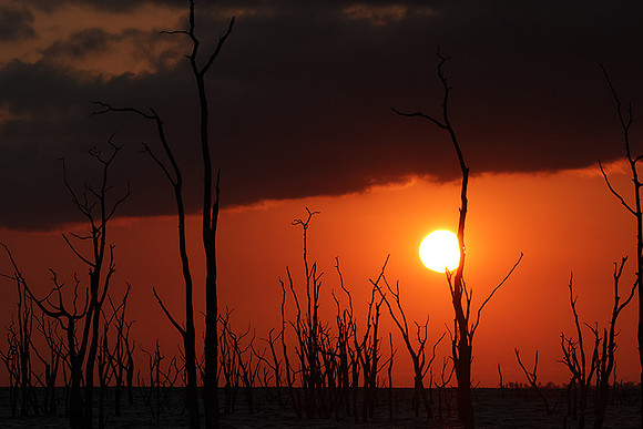Sunrise - lake Kariba