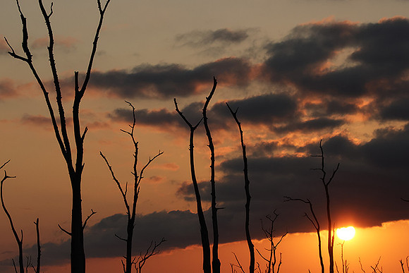 Sunrise - lake Kariba