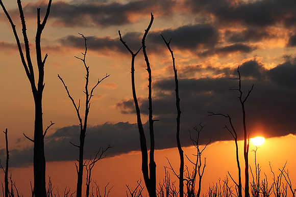 Sunrise - lake Kariba