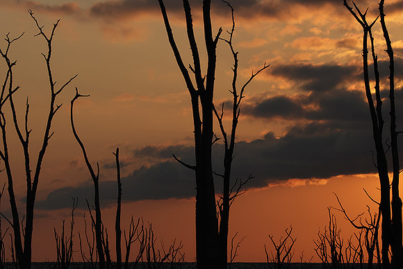 Sunrise - lake Kariba