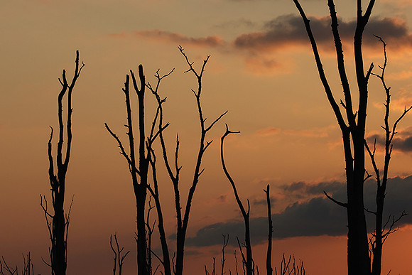 Sunrise - lake Kariba