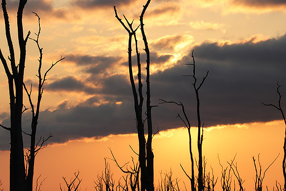 Sunrise - lake Kariba