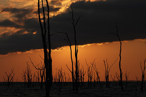 Sunrise - lake Kariba