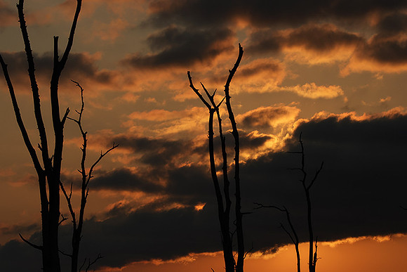 Sunrise - lake Kariba