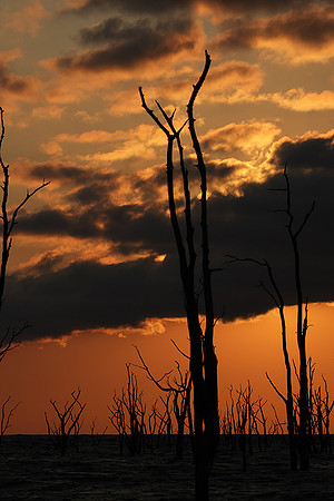 Sunrise - lake Kariba