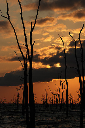Sunrise - lake Kariba