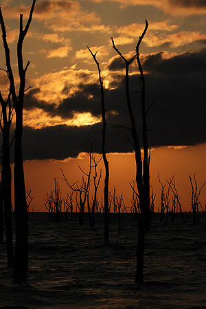 Sunrise - lake Kariba