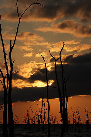 Sunrise - lake Kariba