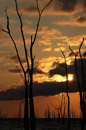 Sunrise - lake Kariba