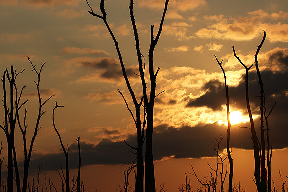 Sunrise - lake Kariba
