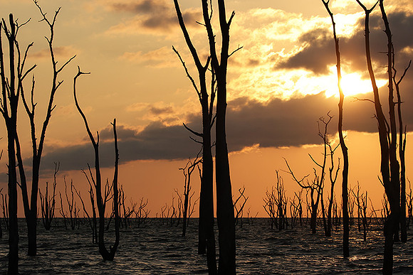 Sunrise - lake Kariba