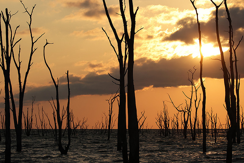 Sunrise - lake Kariba