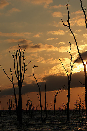 Sunrise - lake Kariba