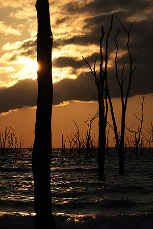 Sunrise - lake Kariba
