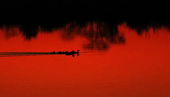 After sunset - Hwange NP