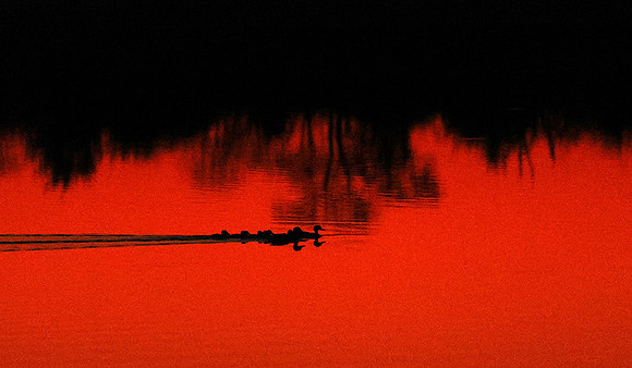 After sunset - Hwange NP