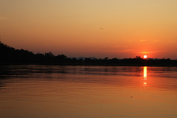 Sunrise - Tembo Plains