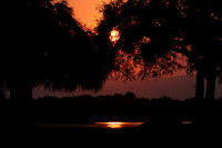 Sunset - Tembo Plains