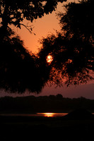Sunset - Tembo Plains