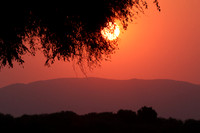 Sunset - Tembo Plains