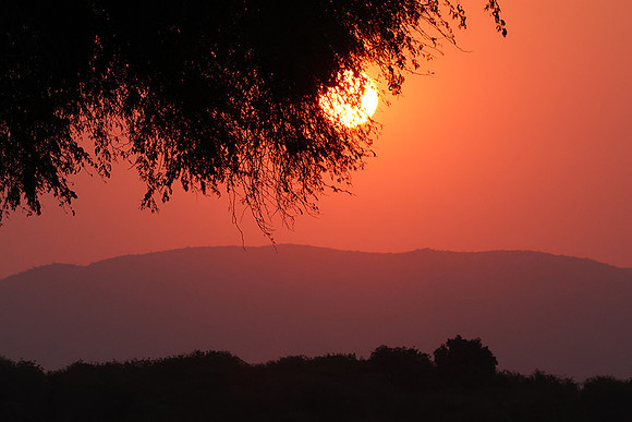 Sunset - Tembo Plains
