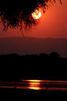 Sunset - Tembo Plains