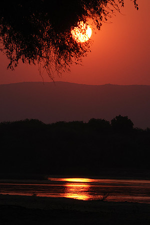 Sunset - Tembo Plains