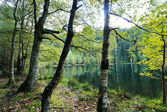 Lac de la Maix