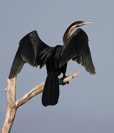 Lake Kariba