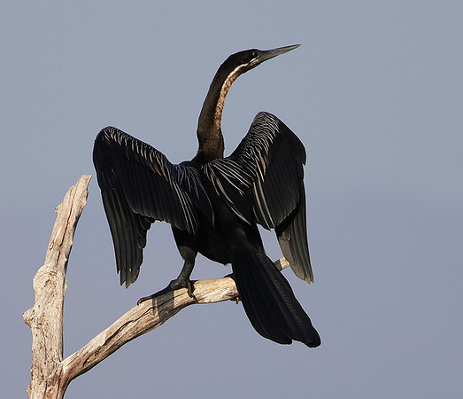 Lake Kariba