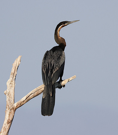 Lake Kariba