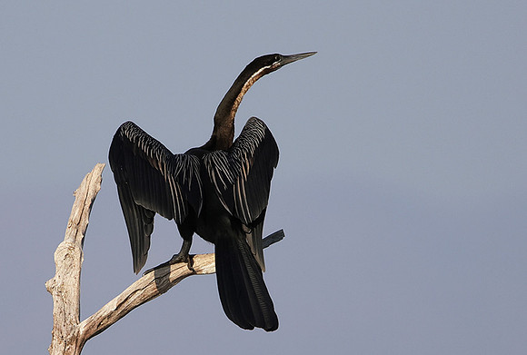 Lake Kariba
