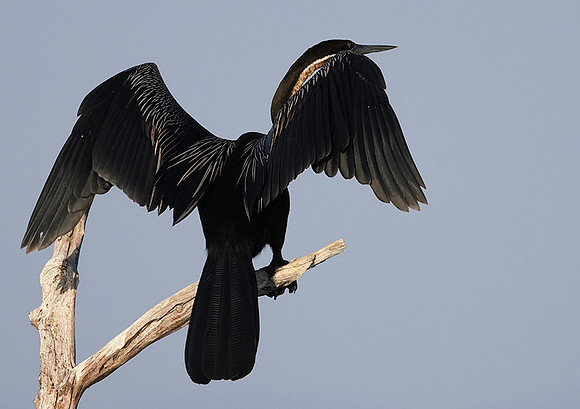 Lake Kariba