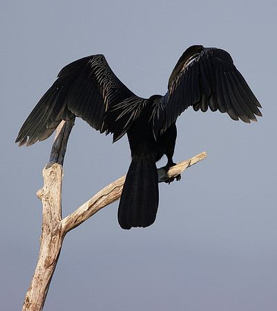 Lake Kariba