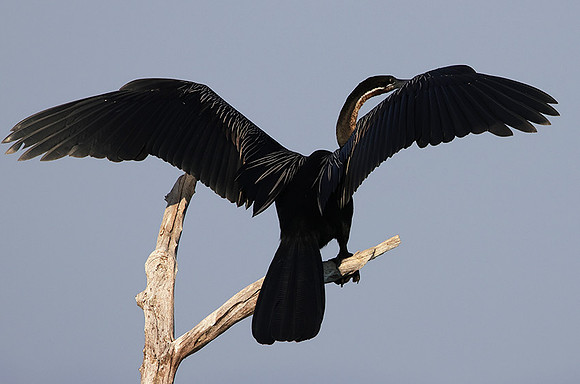 Lake Kariba
