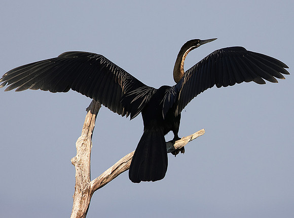 Lake Kariba