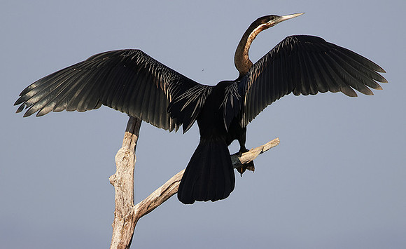 Lake Kariba