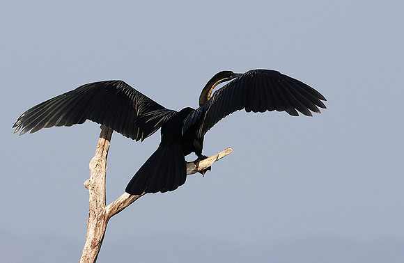 Lake Kariba
