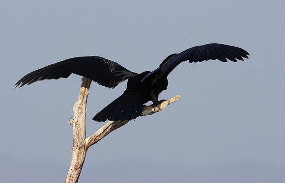 Lake Kariba