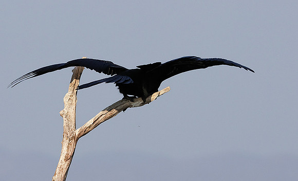 Lake Kariba