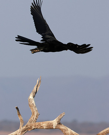 Lake Kariba