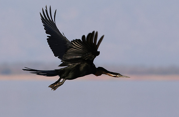 Lake Kariba