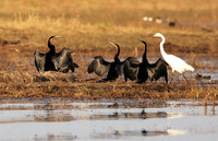 Lake Kariba