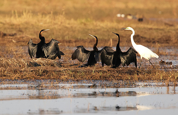 Lake Kariba