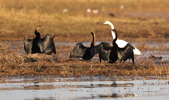 Lake Kariba