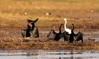 Lake Kariba