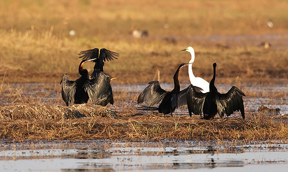Lake Kariba