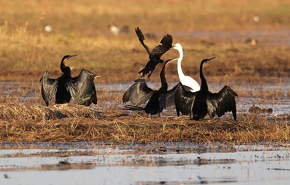 Lake Kariba